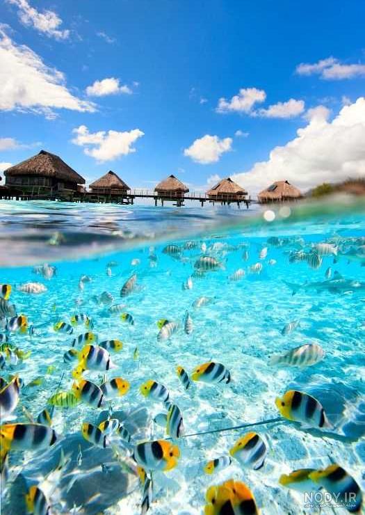 عکس دریای زیباکنار