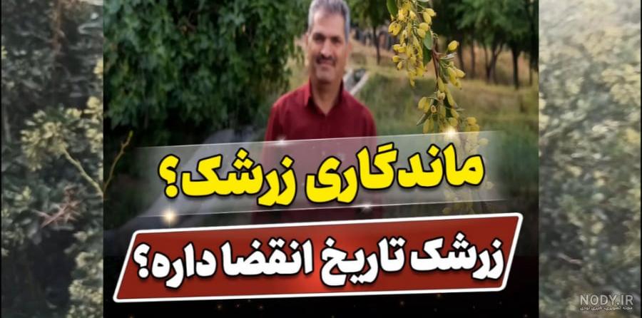 عکس زرشک کوهی لرستان