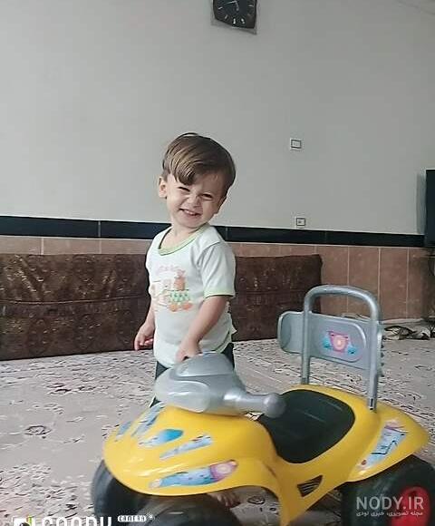 عکس نی نی گربه ❤️ [ بهترین تصاویر ]
