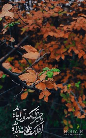 80 استوری پاییز | عکس نوشته پاییزی عاشقانه و غمگین برای استوری ...