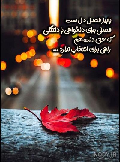 استوری باران پاییزی زیبا