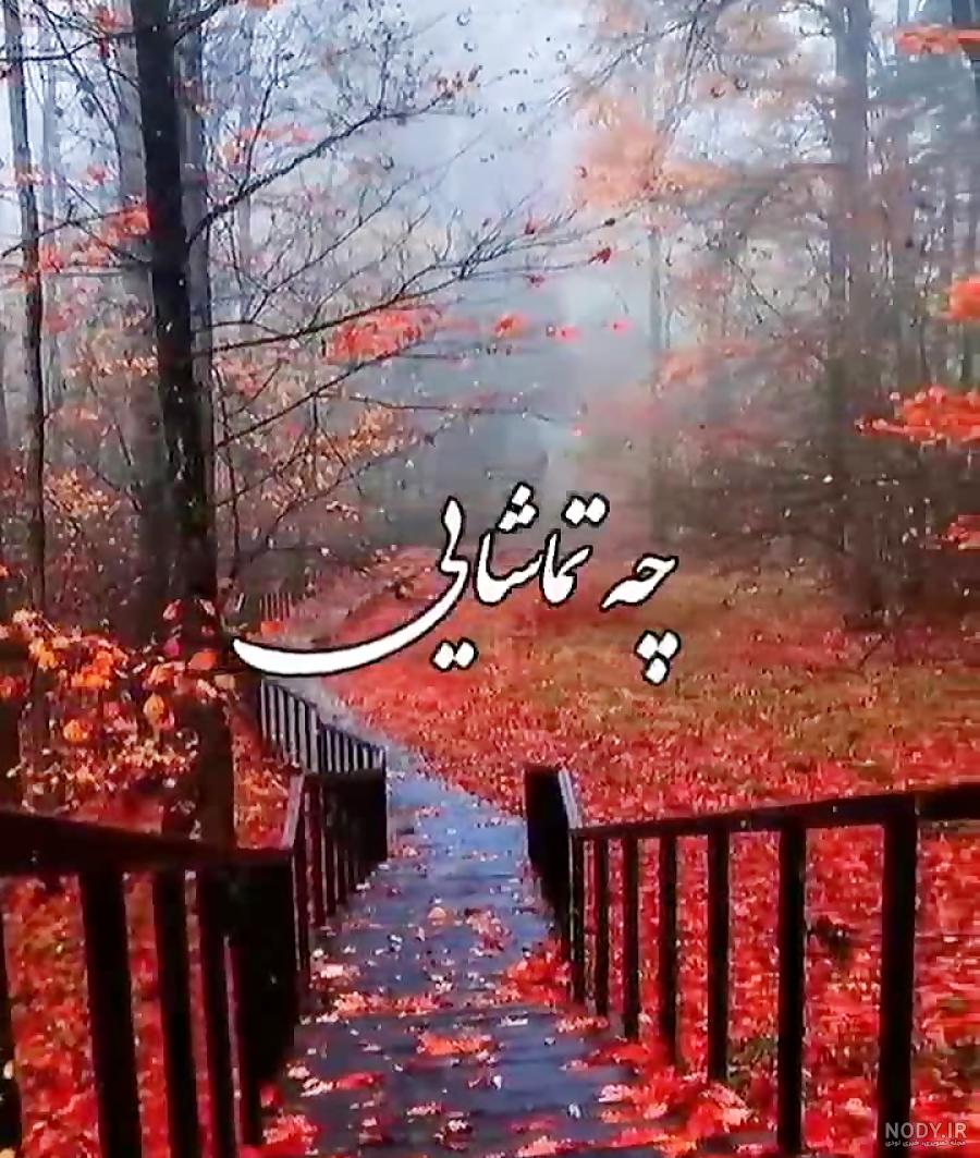 استوری پاییزی راغب - عکس نودی