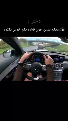 ببر جذاب - عکس ویسگون