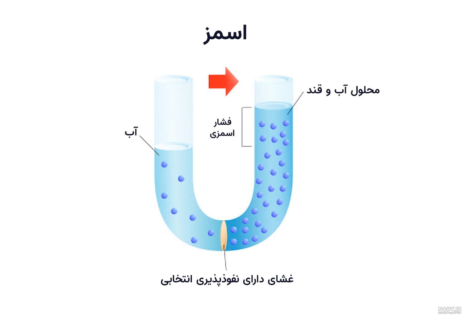 دانلود انیمیشن شانس Luck 2022 با زیرنویس فارسی چسبیده