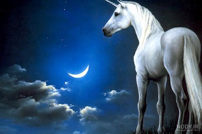 عکس اسب تک شاخ فانتزی برای پروفایل