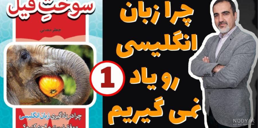 عکس حیوان فیل با کیفیت | والپیپر فیل برای کامپیوتر