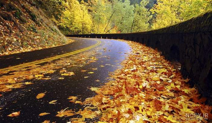 عکس های زیبای پاییزی