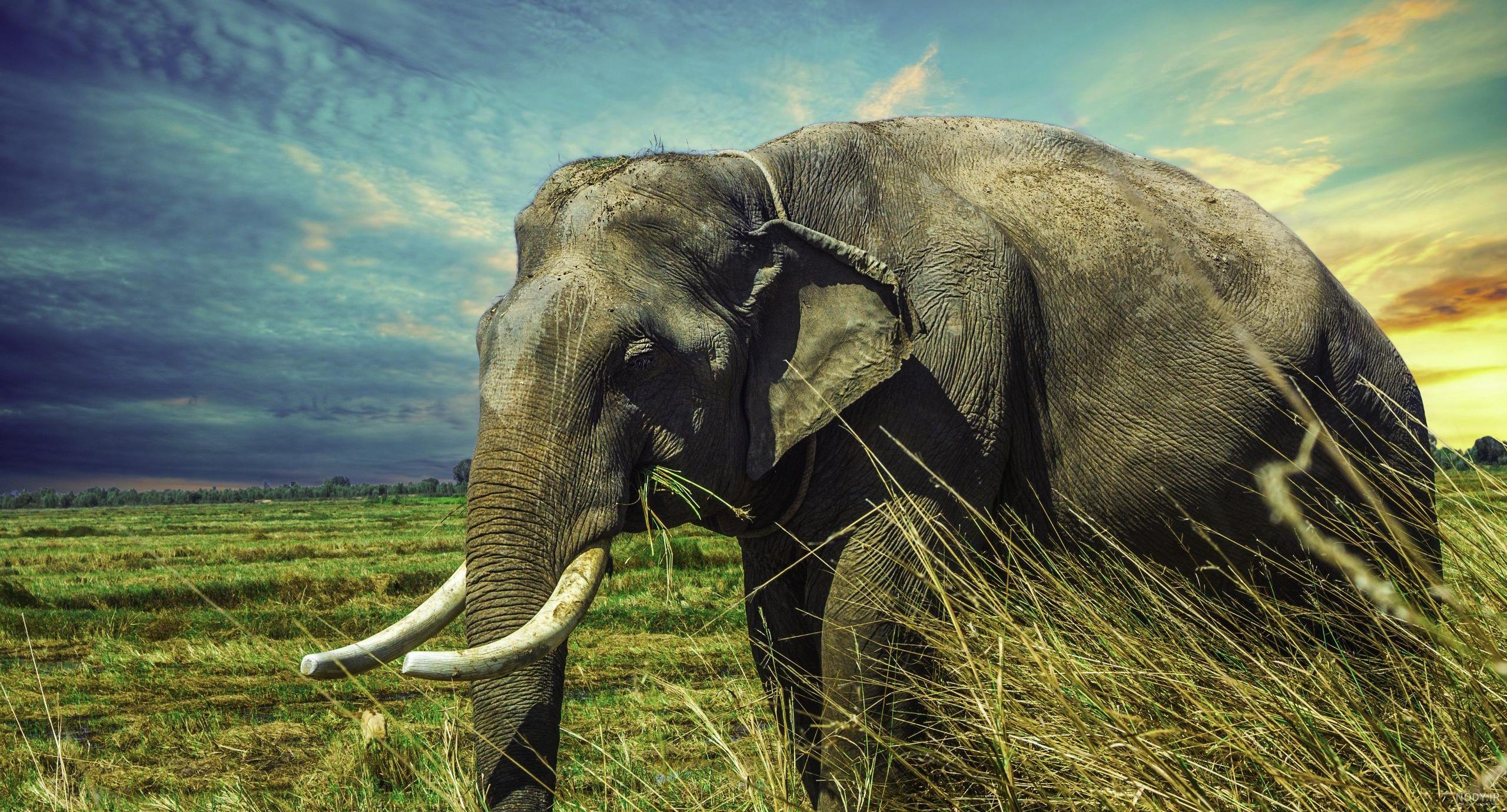 عکس فیلم زبان انگلیسی