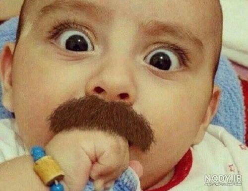 عکس هایی خنده دار از تعجب حیوانات