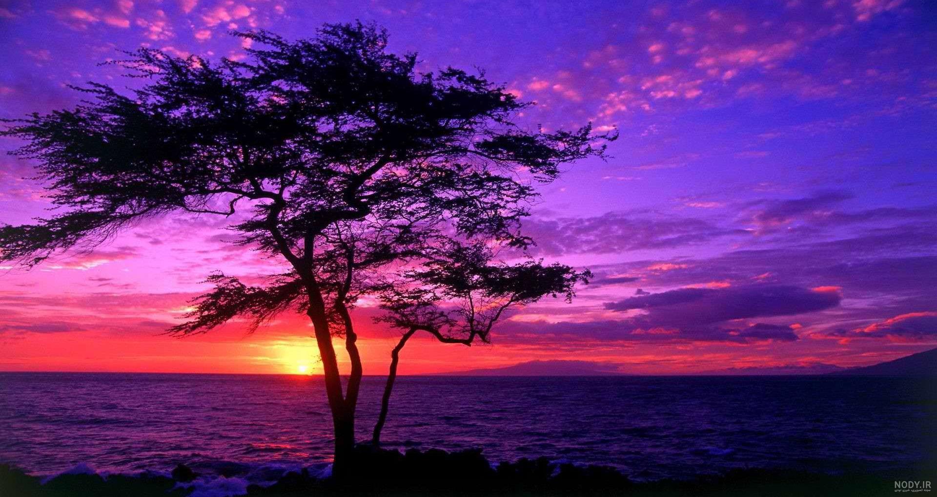 منظره غروب طلایی آفتاب sky sunset clouds منظره غروب طلایی آفتاب sky sunset clouds