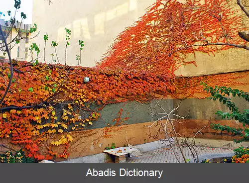 نقاشی ساده ی پاییز - عکس نودی