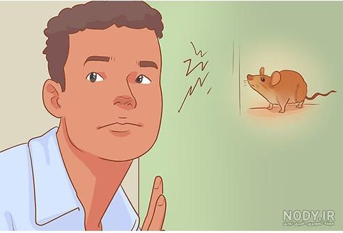 Mice.jpg Mice.jpg