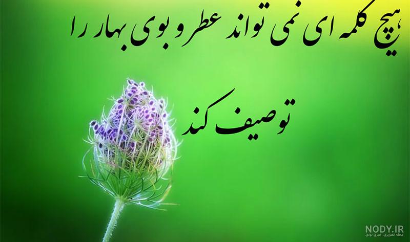 بایگانی‌های عکس نوشته های زیبا در مورد بهار - کامل (مولیزی)