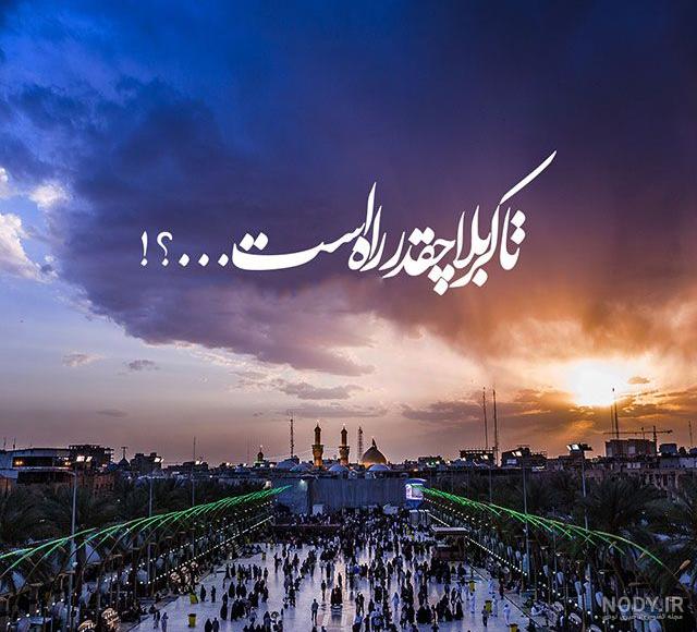 تصاویر اختصاصی/ پیاده روی اربعین از نجف به کربلا / 1
