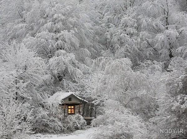 عکس زیبای زمستان
