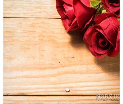 عکس های زیبای گل آفتابگردان عکس های زیبای گل آفتابگردان