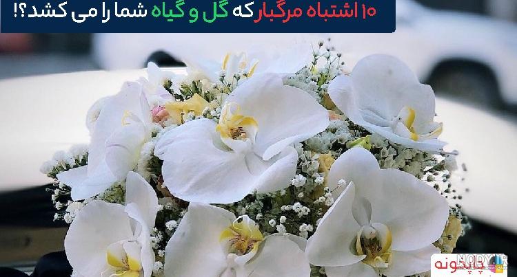 عکس های زیبای گل برای پروفایل عکس های زیبای گل برای پروفایل