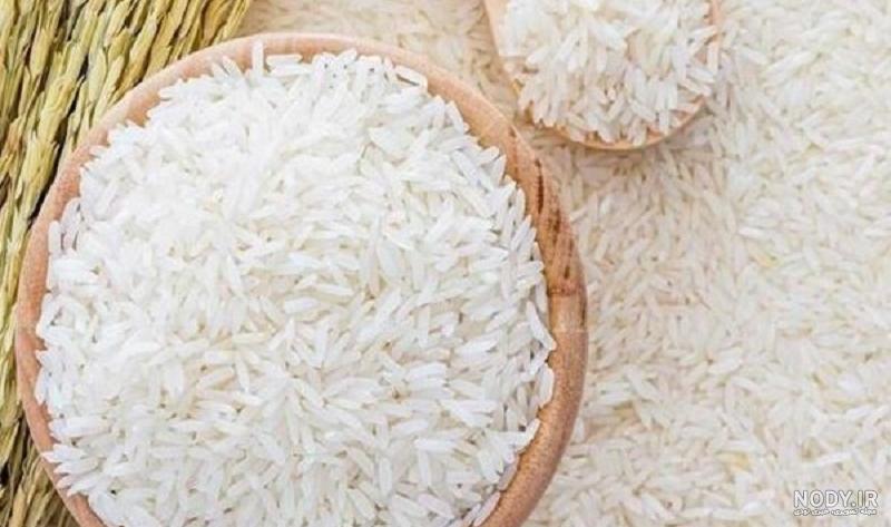 عکس فضله موش بزرگ عکس فضله موش بزرگ