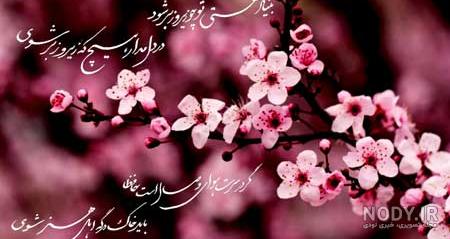 عکس نوشته شکوفه بهار