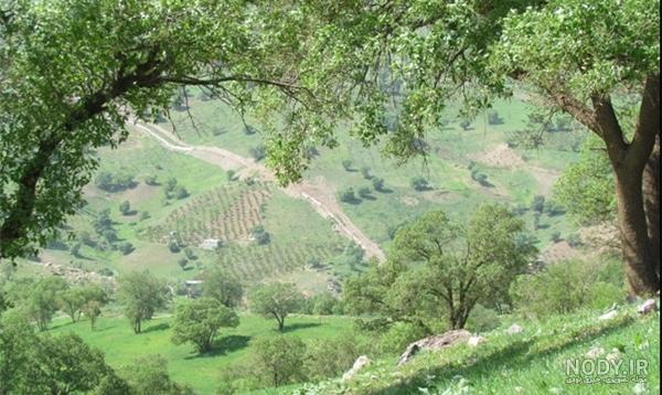 عکس پالنگان کامیاران عکس پالنگان کامیاران