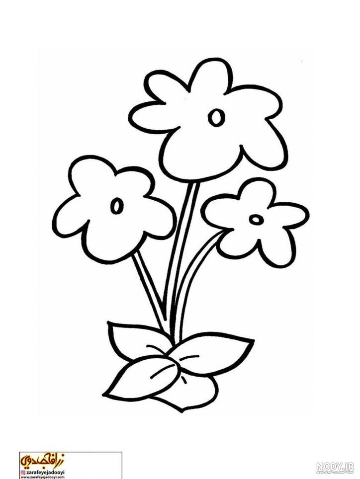 نقاشی گل محمدی ساده - عکس نودی نقاشی گل محمدی ساده - عکس نودی