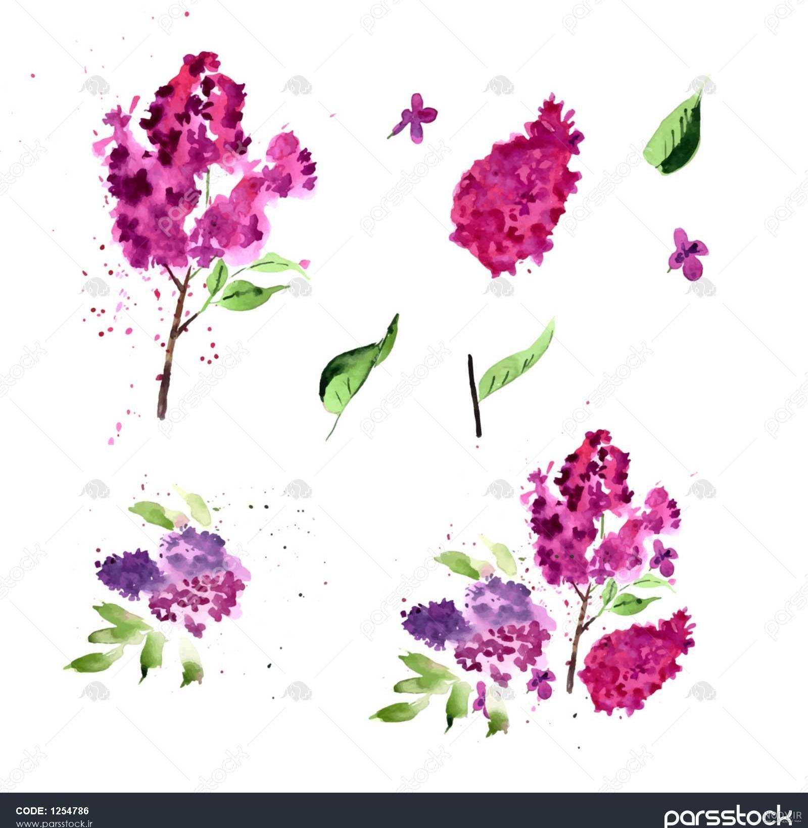 نقاشی گل یاس کودکانه نقاشی گل یاس کودکانه