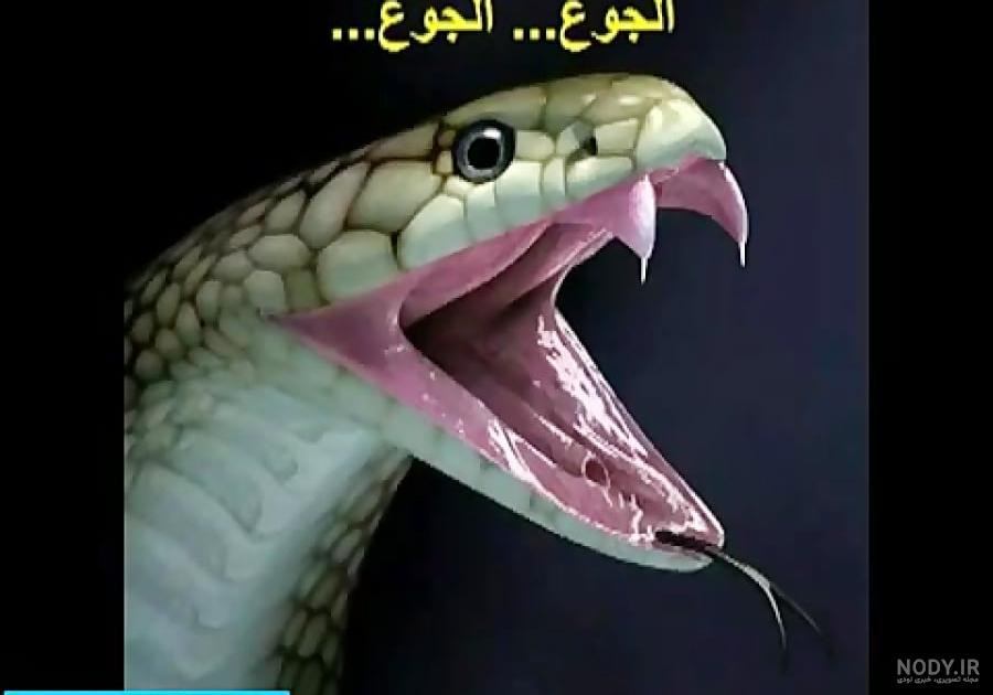وحشتناک ترین دوازه ی جهنم در دنیا (عکس)
