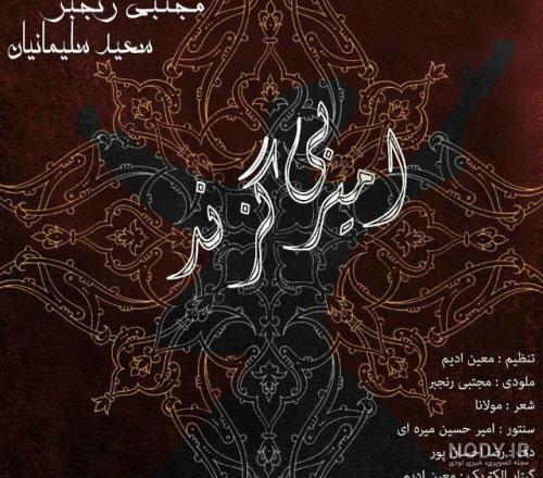 «امیر بی گزند» به مارکت موسیقی رسید – پارس نوا