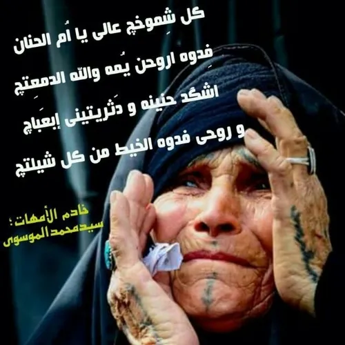امی یا تاج راسی🌹 - عکس ویسگون