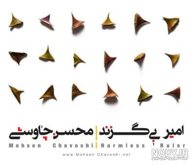 دانلود آهنگ جدید مجتبی رنجبر و سعید سلیمانیان به نام امیر بی گزند