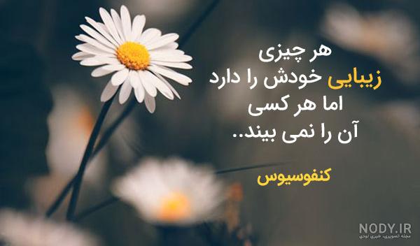 سخنان پند آموز و حکیمانه از بزرگان جهان + عکس نوشته