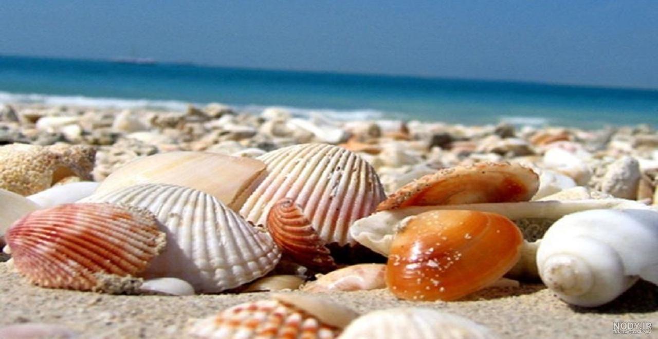 عکس از شمال و دریا