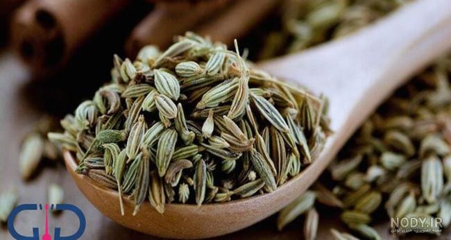 عکس از ۱۴۰۰ - عکس نودی عکس از ۱۴۰۰ - عکس نودی