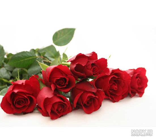 عکس تولدت مبارک گل ❤️ [ بهترین تصاویر ]