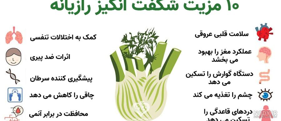 عکس رازیانه عکس رازیانه