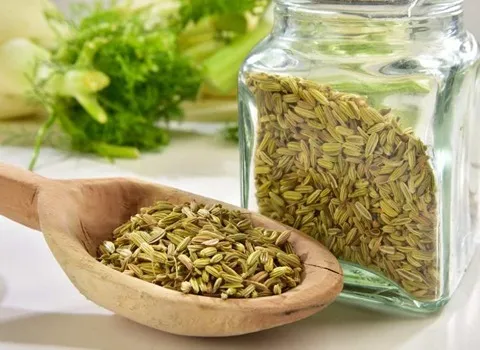 عکس رازیانه و بادیان عکس رازیانه و بادیان