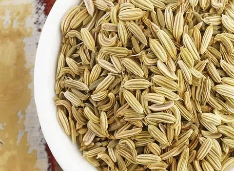 عکس رازیانه خشک عکس رازیانه خشک