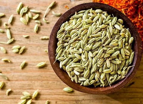 عکس رازیانه و زیره عکس رازیانه و زیره