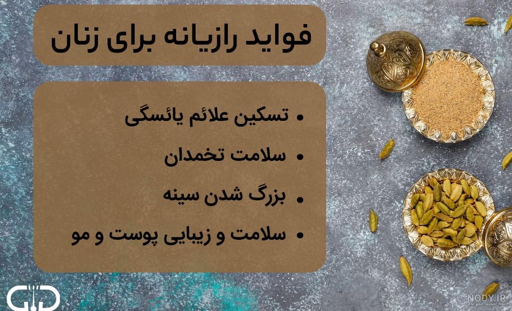 عکس رازیانه سبز عکس رازیانه سبز