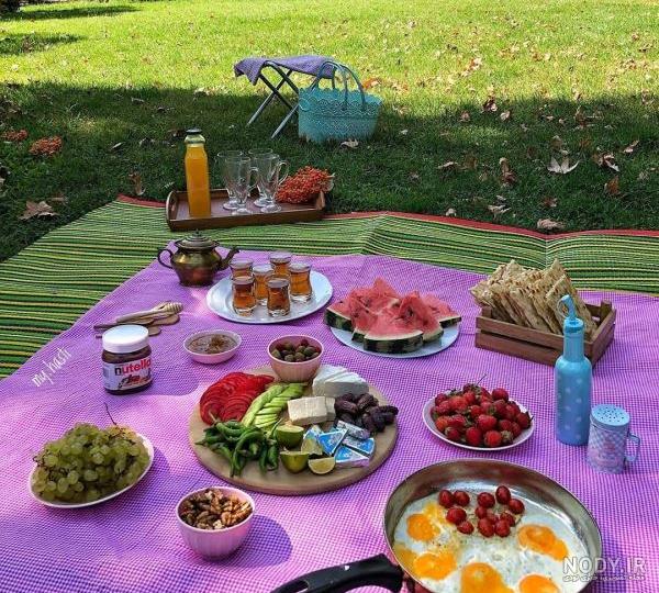 عکس صبحانه در طبیعت | عکس صبحانه لاکچری