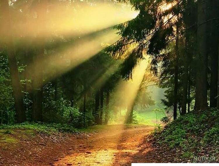 عکس طبیعت صبحگاهی
