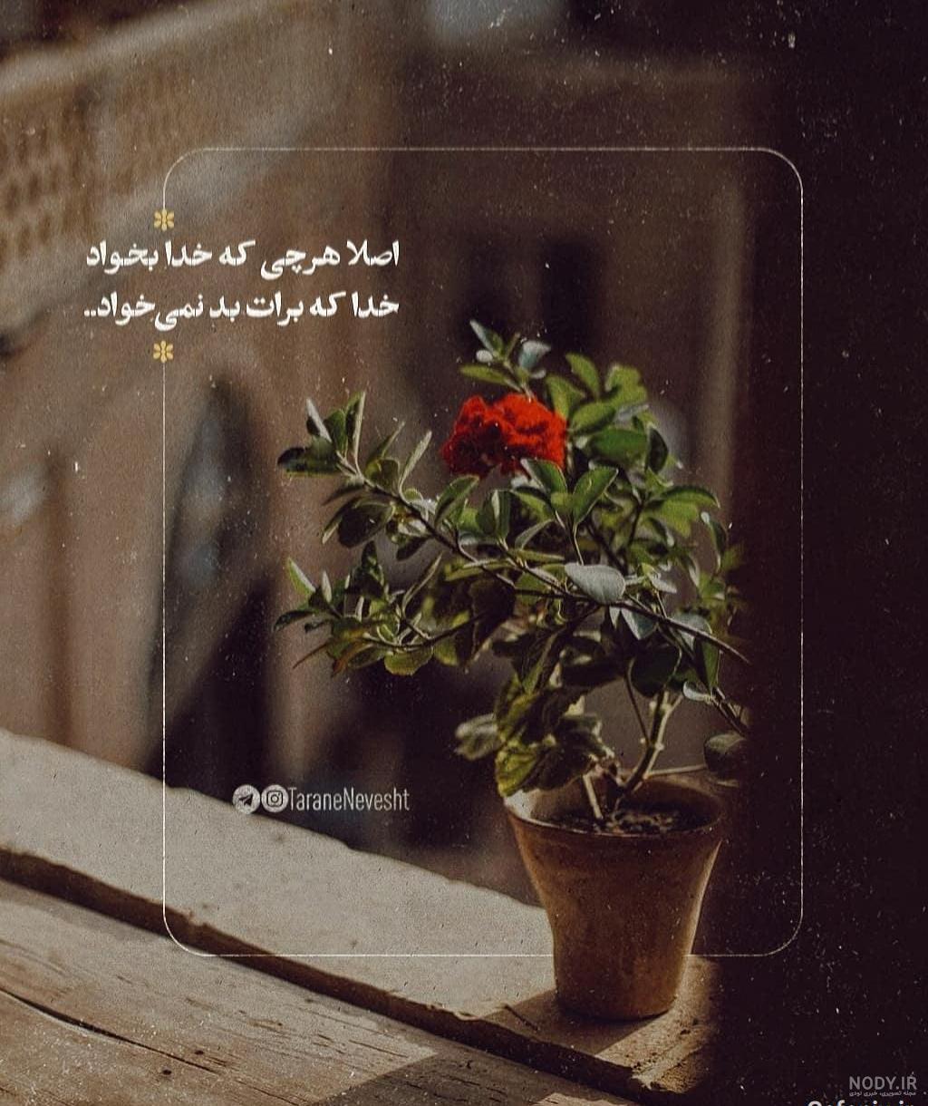 عکس نوشته خدا برای پروفایل واتساپ
