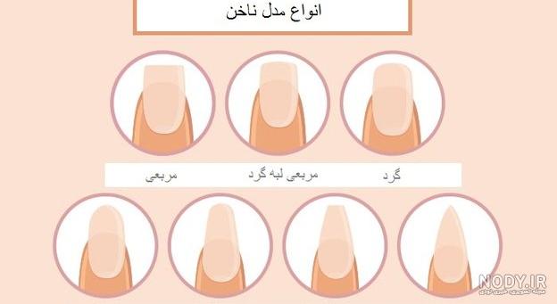 مدل ناخن بیضی کوتاه