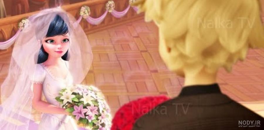 کلیپ عاشقانه از دختر کفشدوزکی و گربه سیاه