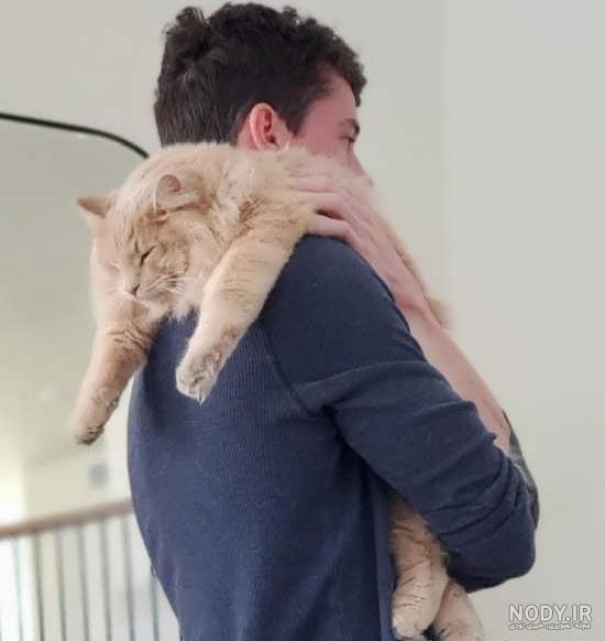 عکس گربه برای پروفایل خفن