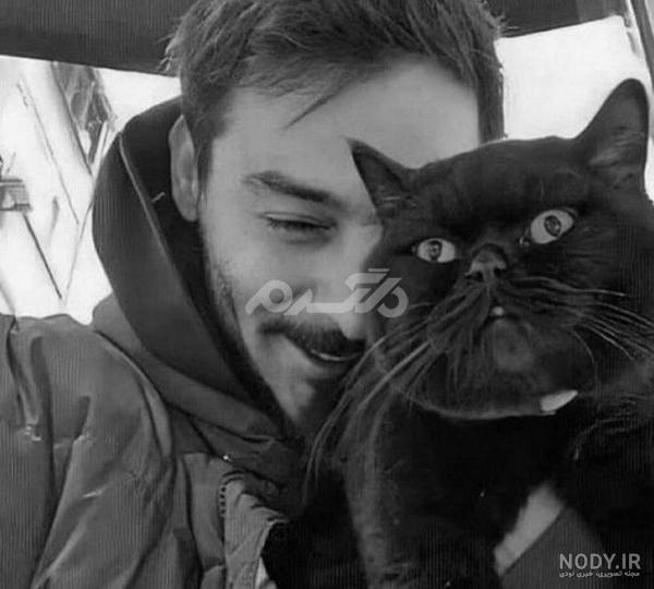 عکس گربه برای پروفایل خفن