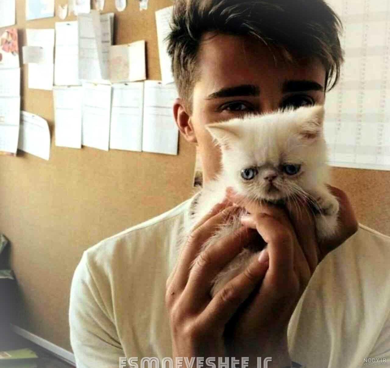 عکس گربه برای پروفایل خفن