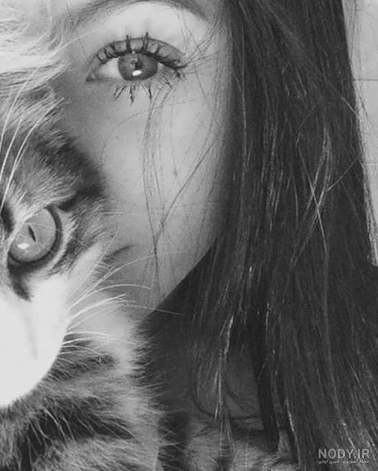 عکس گربه برای پروفایل خفن