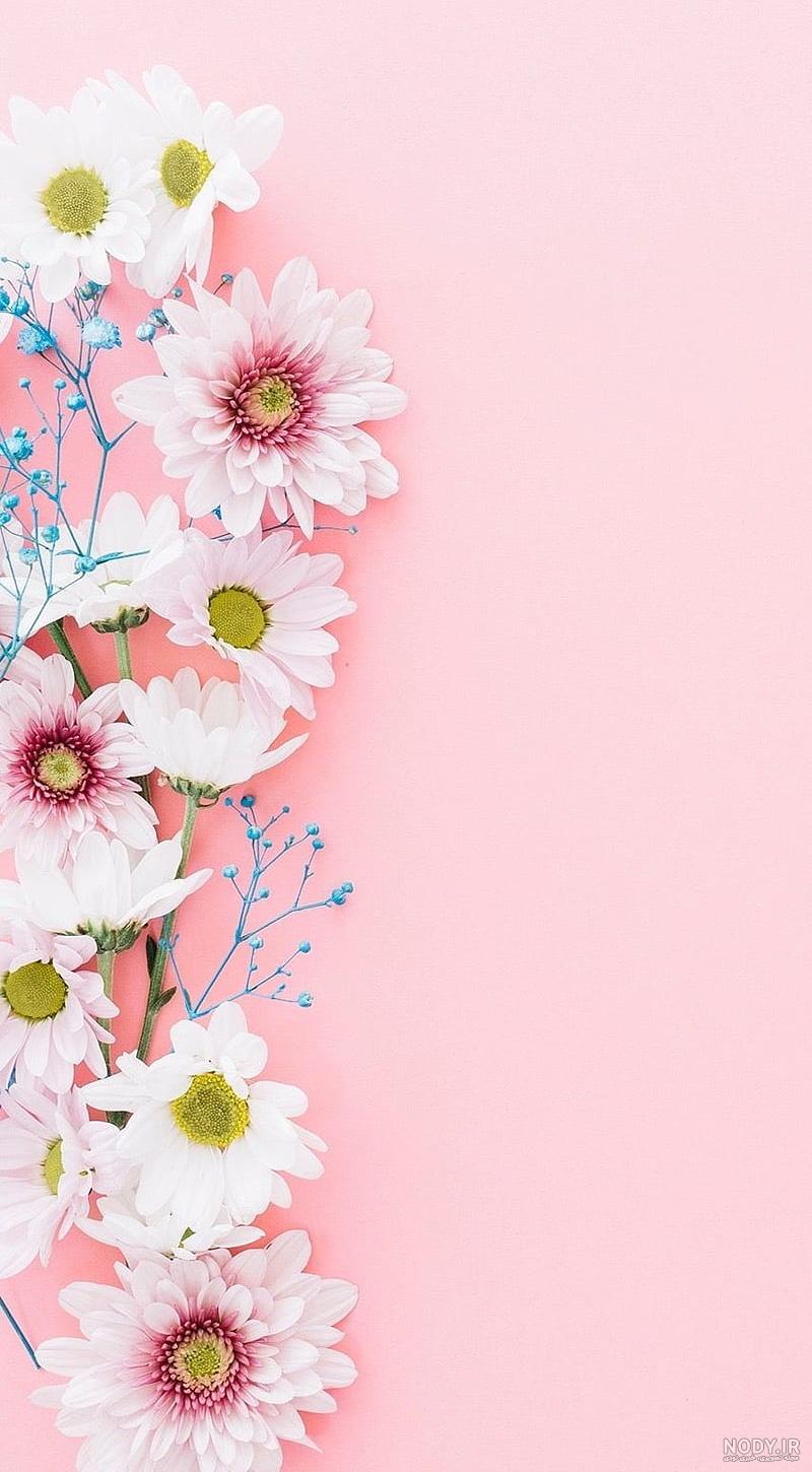 7 بک گراند ساده ideas | instagram frame template, instagram ...