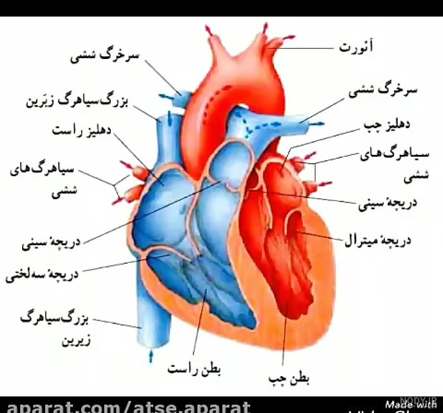 Pin on خسته